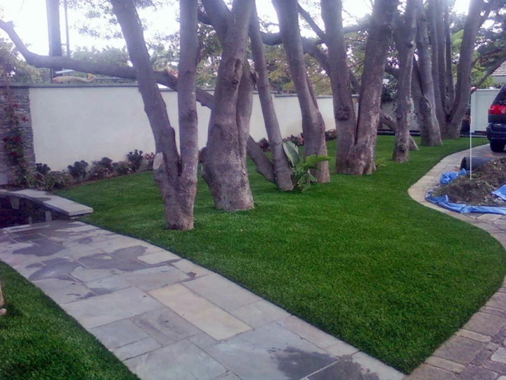 Artificial Turf Cost Zapata, Texas Backyard Deck Ideas, Landscaping Ideas For Front Yard