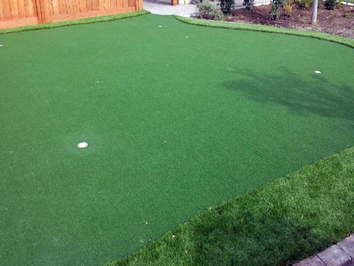 Artificial Turf Edcouch, Texas Office Putting Green