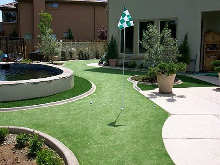 Artificial Turf Edna, Texas Putting Green Grass, Backyards