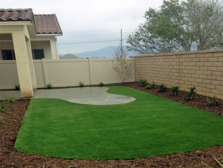 Artificial Turf Galveston, Texas Landscape Design, Backyard Landscape Ideas