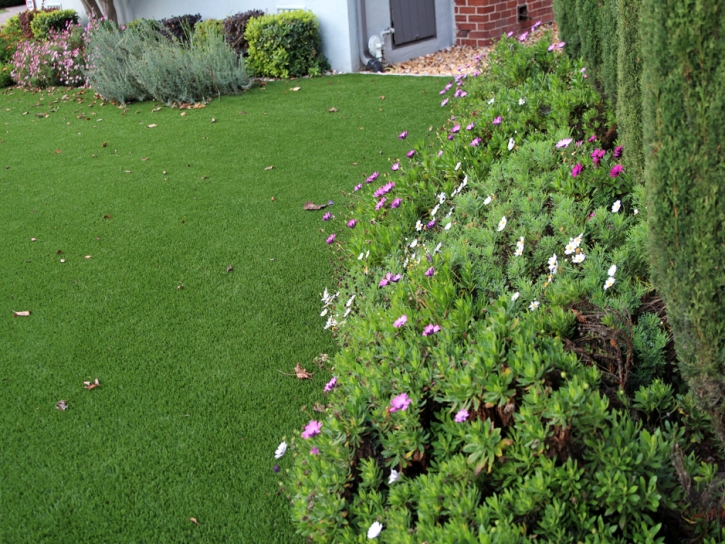 Artificial Turf Installation Buna, Texas Garden Ideas, Front Yard Landscape Ideas