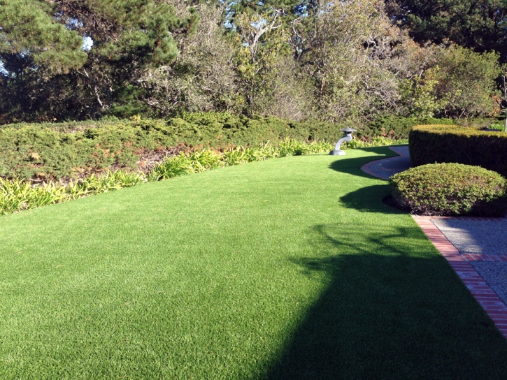 Artificial Turf Installation Lumberton, Texas Rooftop, Landscaping Ideas For Front Yard