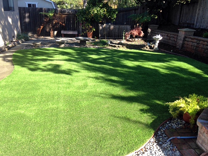 Artificial Turf Installation New Braunfels, Texas Pet Turf, Backyard Ideas