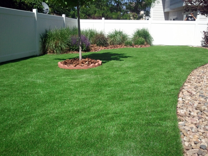 Artificial Turf Installation Pearland, Texas Landscape Photos, Backyard Ideas