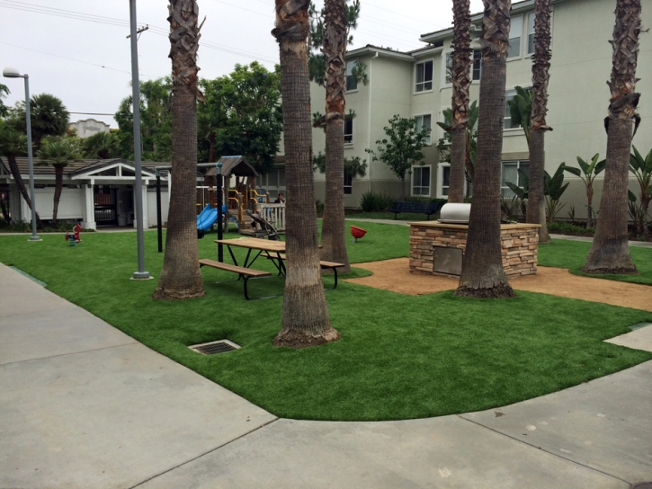 Artificial Turf Installation Weslaco, Texas Lawns, Commercial Landscape