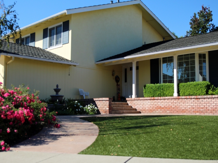 Artificial Turf Jacksboro, Texas Lawns, Small Front Yard Landscaping