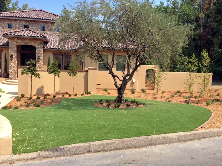 Artificial Turf Jollyville, Texas Lawn And Landscape, Front Yard Design