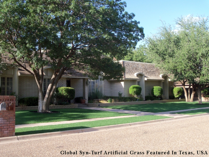 Artificial Turf McKinney, Texas Landscape Ideas, Front Yard