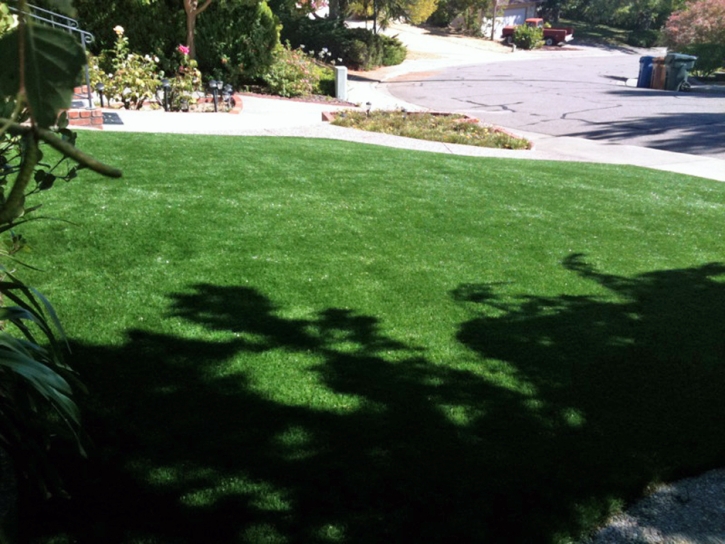 Artificial Turf Olney, Texas Gardeners, Small Front Yard Landscaping