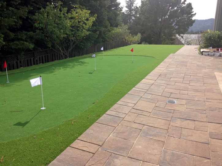 Artificial Turf San Augustine, Texas Paver Patio, Backyards