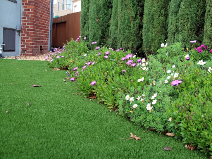 Best Artificial Grass Abram, Texas Landscape Ideas, Front Yard Landscaping