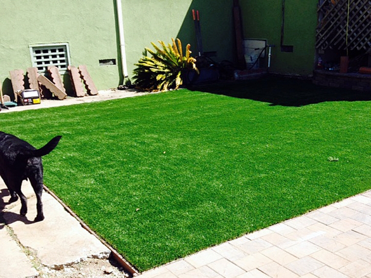 Best Artificial Grass Hutchins, Texas Cat Grass, Small Backyard Ideas