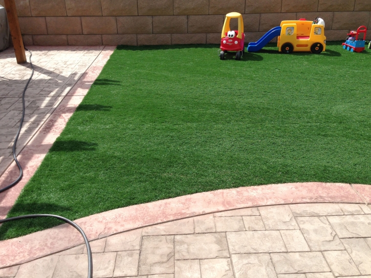 Best Artificial Grass Kerrville, Texas Landscape Ideas, Beautiful Backyards