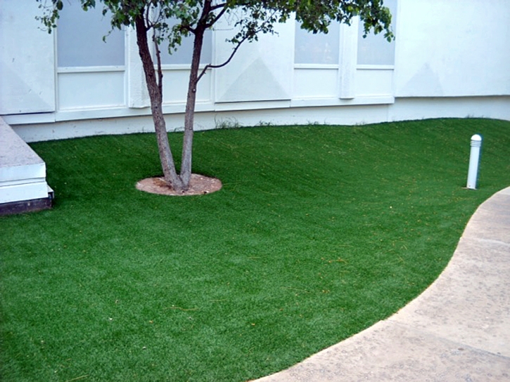 Best Artificial Grass North Alamo, Texas Landscape Design, Commercial Landscape