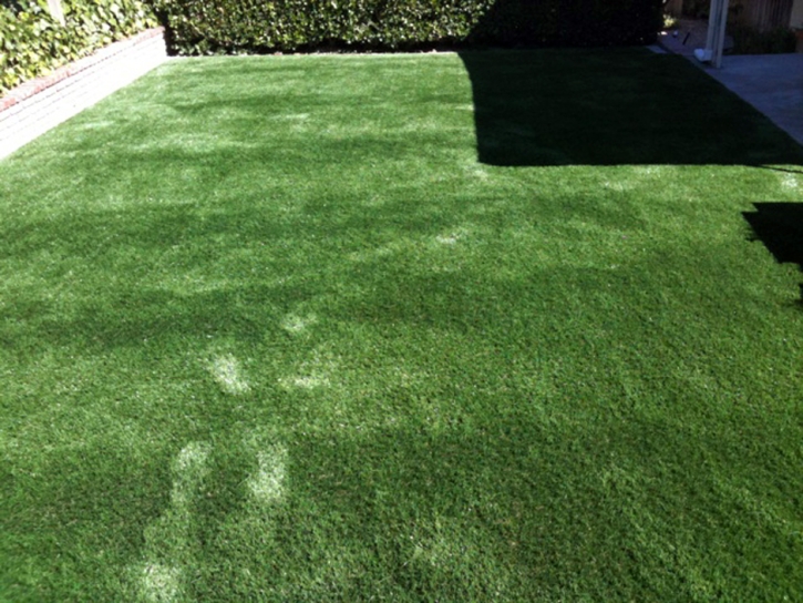 Best Artificial Grass Poteet, Texas Dog Pound, Backyard Landscape Ideas