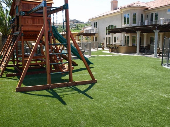 Best Artificial Grass San Benito, Texas Kids Indoor Playground, Backyard Design