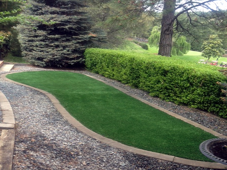 Best Artificial Grass Santa Rosa, Texas Landscape Design