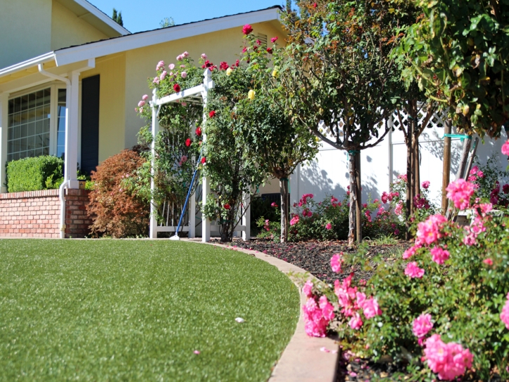 Fake Grass Bulverde, Texas Landscaping, Landscaping Ideas For Front Yard