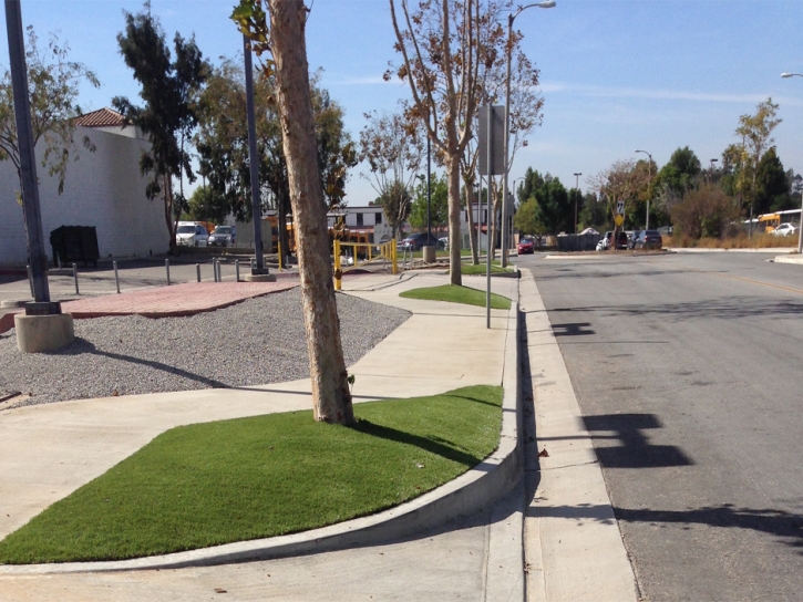 Fake Grass Carpet Chandler, Texas Paver Patio, Commercial Landscape