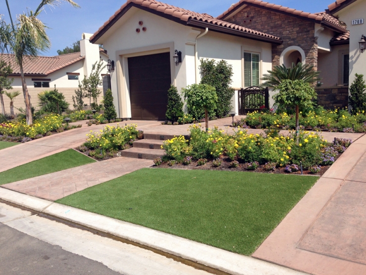 Fake Grass Carpet Cisco, Texas Landscape Photos, Front Yard Landscape Ideas