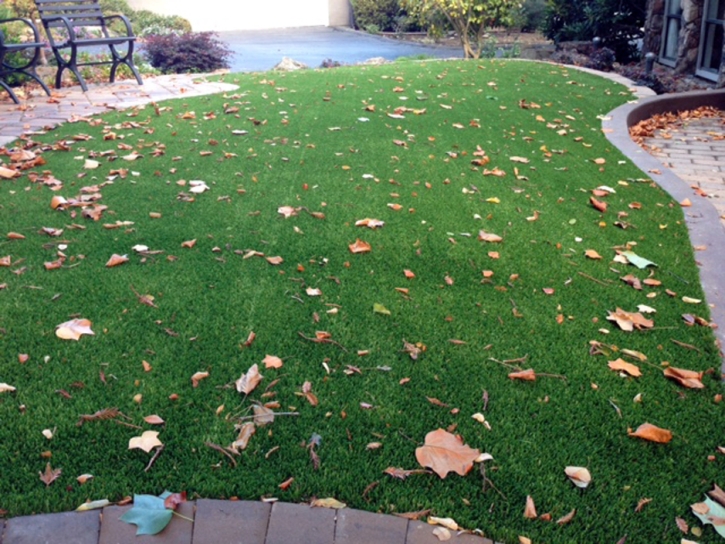 Fake Grass Carpet Early, Texas Landscaping Business, Front Yard Design
