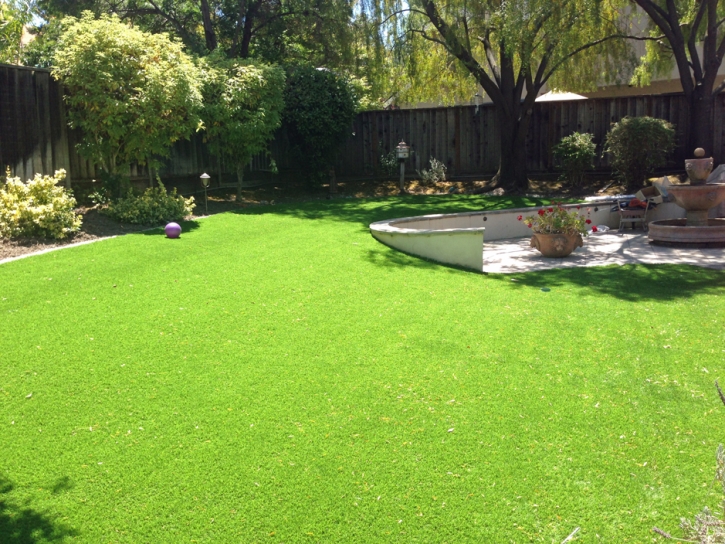 Fake Grass Carpet Farmers Branch, Texas Rooftop, Backyard