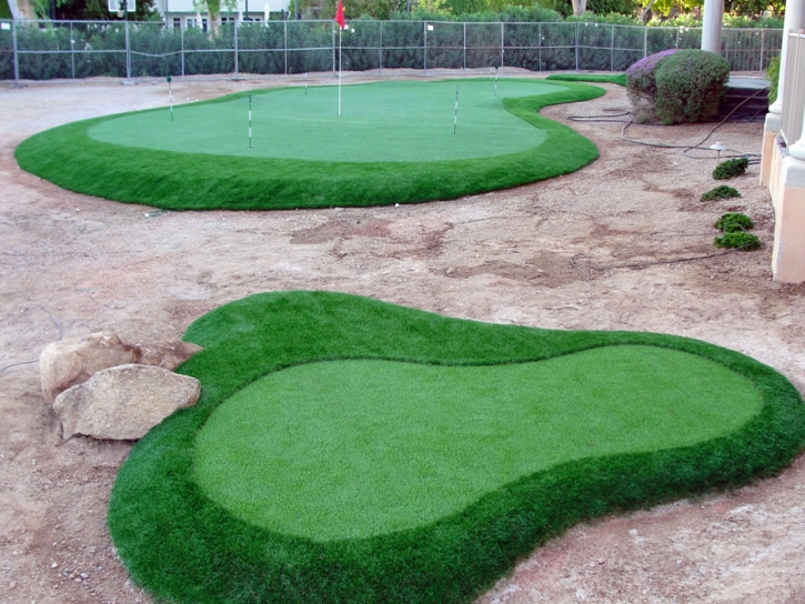 Fake Grass Carpet Gonzales, Texas Artificial Putting Greens, Small Front Yard Landscaping