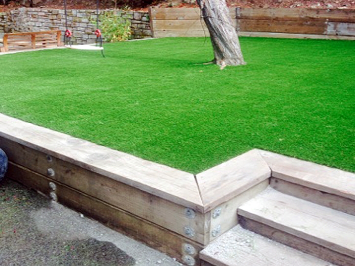 Fake Grass Carpet Livingston, Texas Gardeners, Small Backyard Ideas