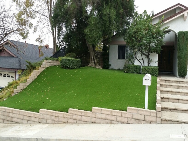 Fake Grass Carpet Mathis, Texas Lawns, Front Yard Landscaping Ideas