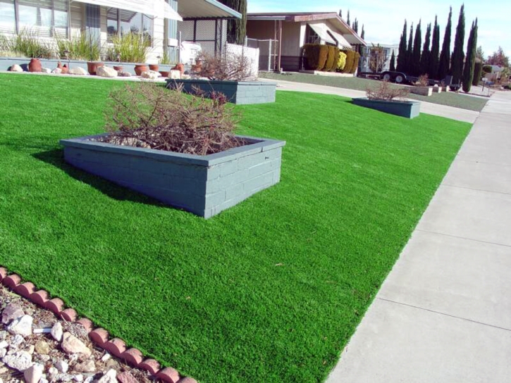 Fake Grass Carpet McKinney, Texas Landscaping, Front Yard Ideas