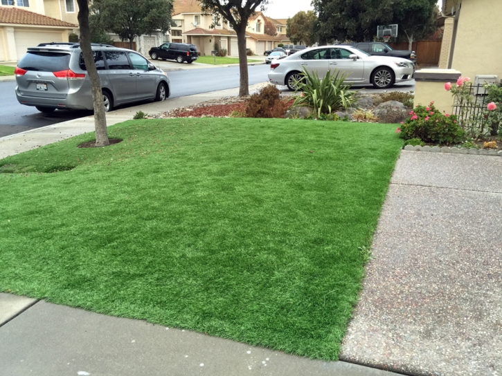 Fake Grass Carpet Tool, Texas Landscape Ideas, Front Yard Landscape Ideas