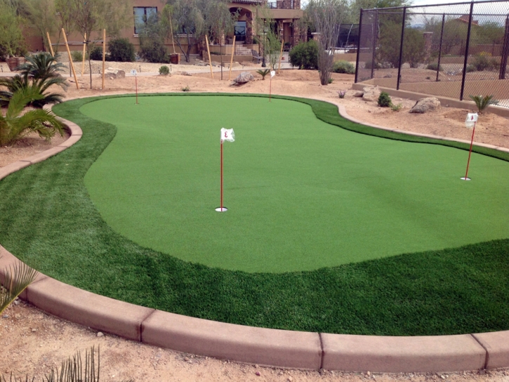 Fake Grass Decatur, Texas Putting Green Turf, Backyard Design