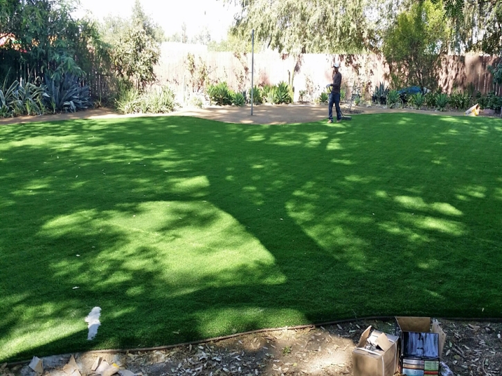 Fake Grass Hudson, Texas Home And Garden, Backyard Garden Ideas