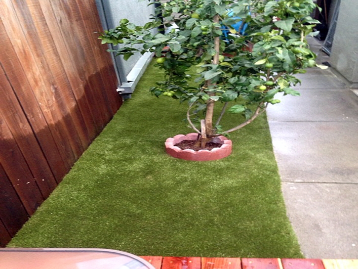 Fake Grass League City, Texas Pet Grass, Small Backyard Ideas