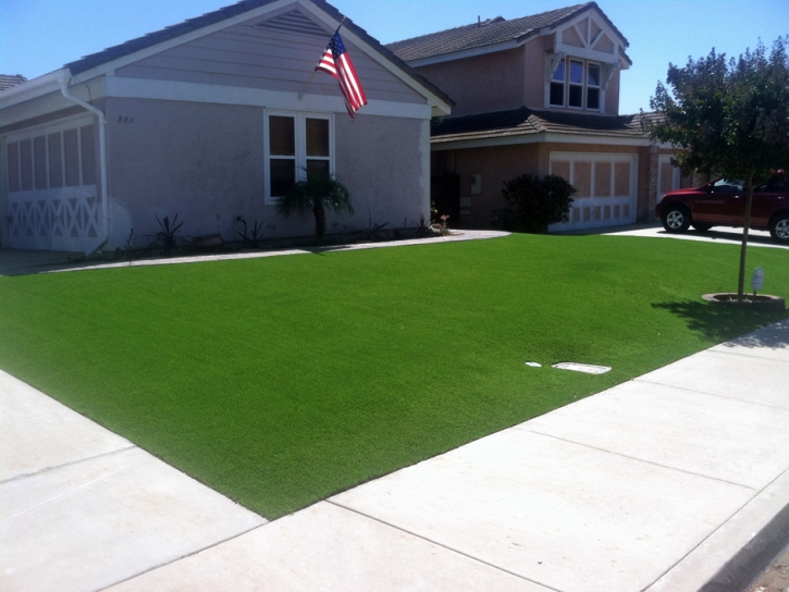 Fake Grass Rio Grande City, Texas Landscape Design, Landscaping Ideas For Front Yard