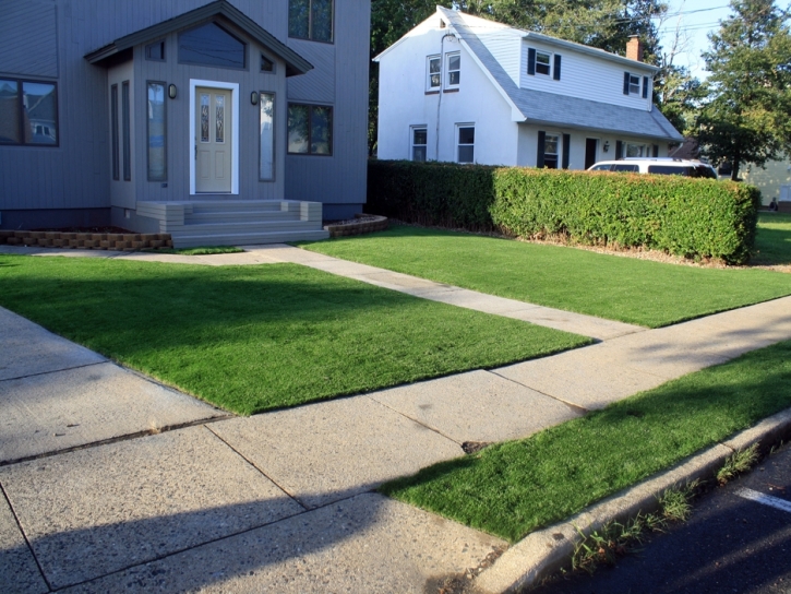 Fake Grass Shavano Park, Texas Landscape Photos, Front Yard Design