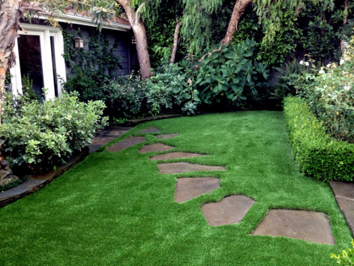 Fake Grass Tahoka, Texas Garden Ideas, Backyard Garden Ideas