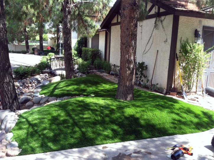 Fake Lawn Burleson, Texas, Front Yard Landscaping Ideas