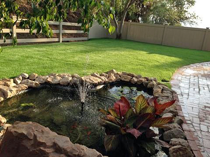 Fake Lawn Crosby, Texas Lawns, Backyard Ideas