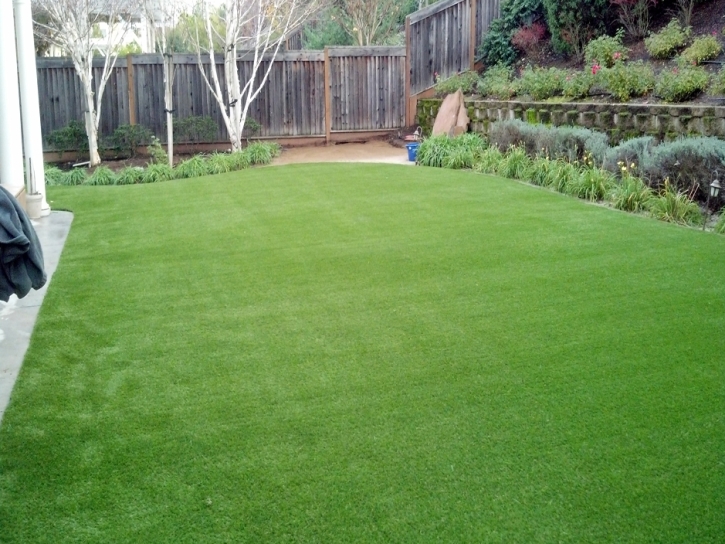 Fake Lawn Elgin, Texas Landscaping Business, Backyard Makeover