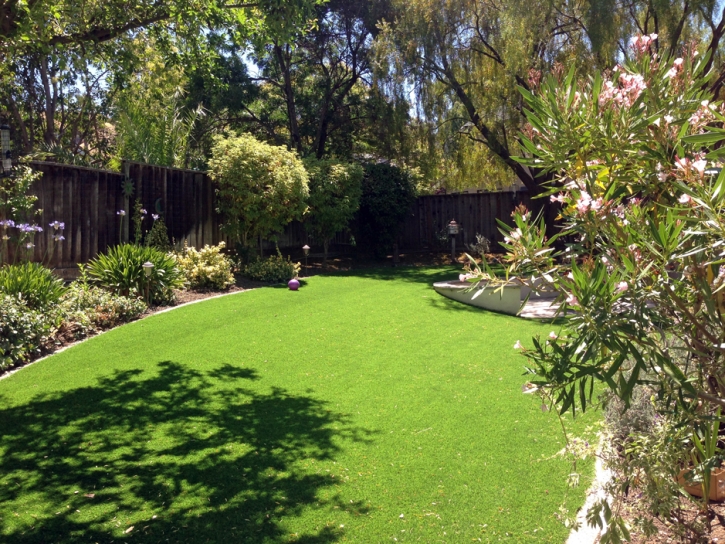 Fake Lawn Fort Hood, Texas Design Ideas, Backyard