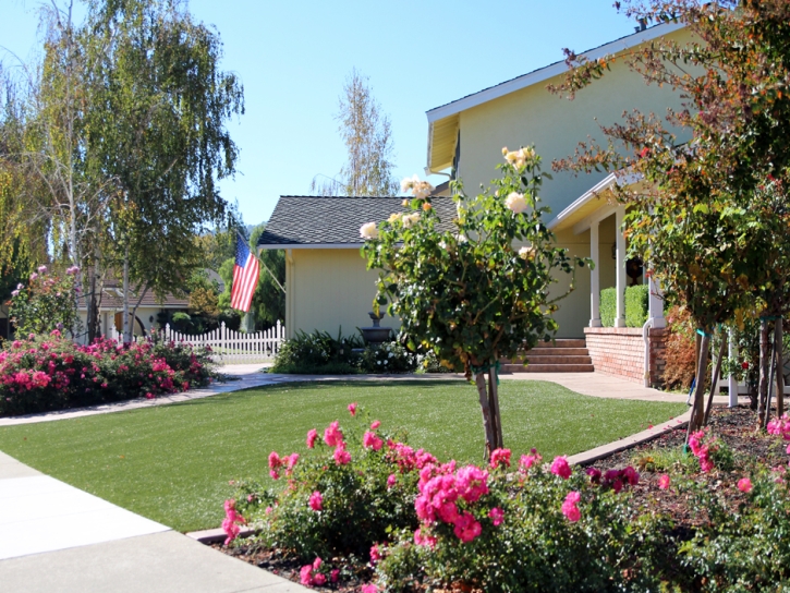 Fake Lawn Hunters Creek Village, Texas Landscaping Business, Front Yard Landscaping