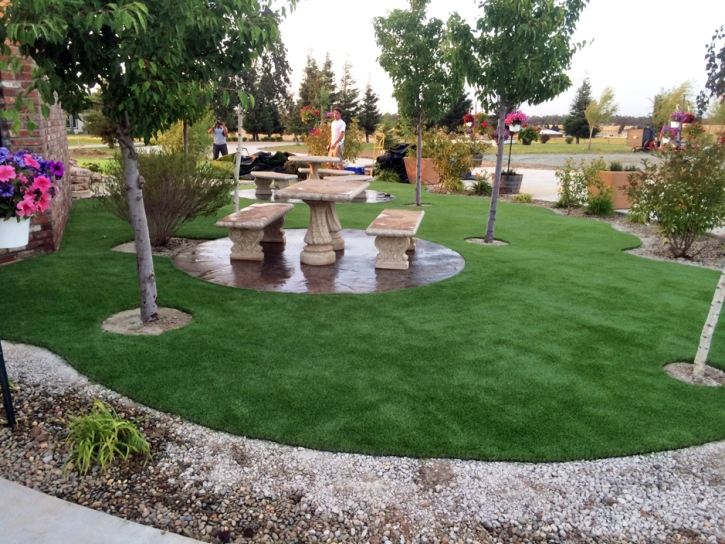 Fake Lawn Mission Bend, Texas Backyard Deck Ideas, Commercial Landscape