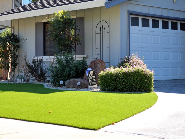 Fake Lawn Penitas, Texas Lawns, Small Front Yard Landscaping