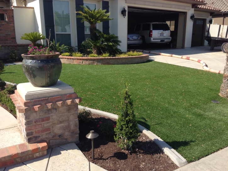 Fake Lawn Primera, Texas Lawn And Landscape, Front Yard Ideas