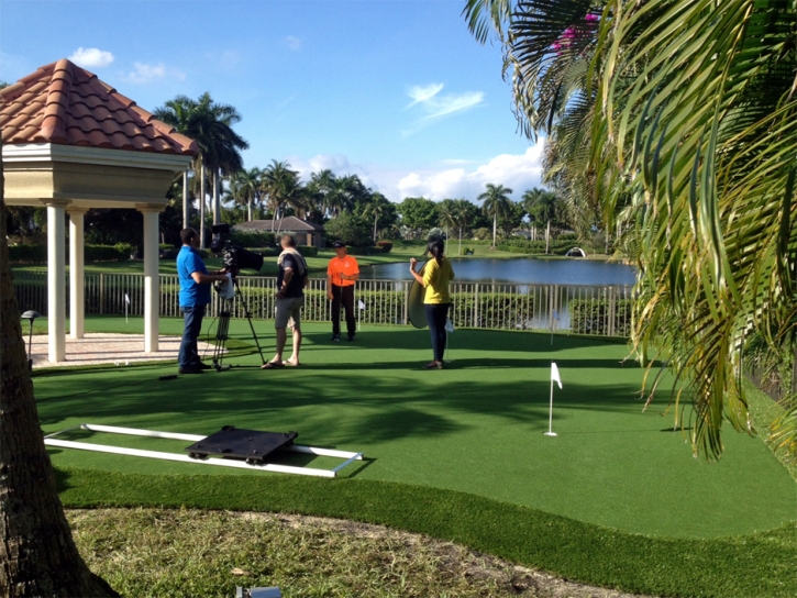 Fake Lawn Richardson, Texas Putting Green Grass, Backyard Makeover