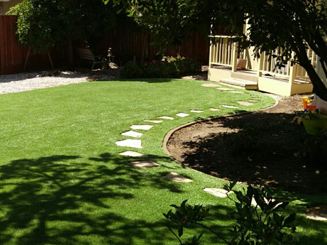 Fake Lawn Universal City, Texas Landscape Ideas, Backyard Landscaping Ideas