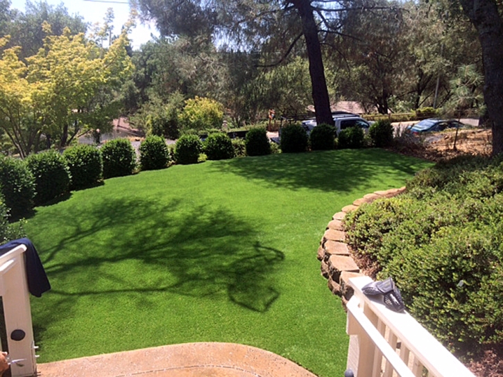 Fake Lawn Van Alstyne, Texas Design Ideas, Backyard Landscape Ideas