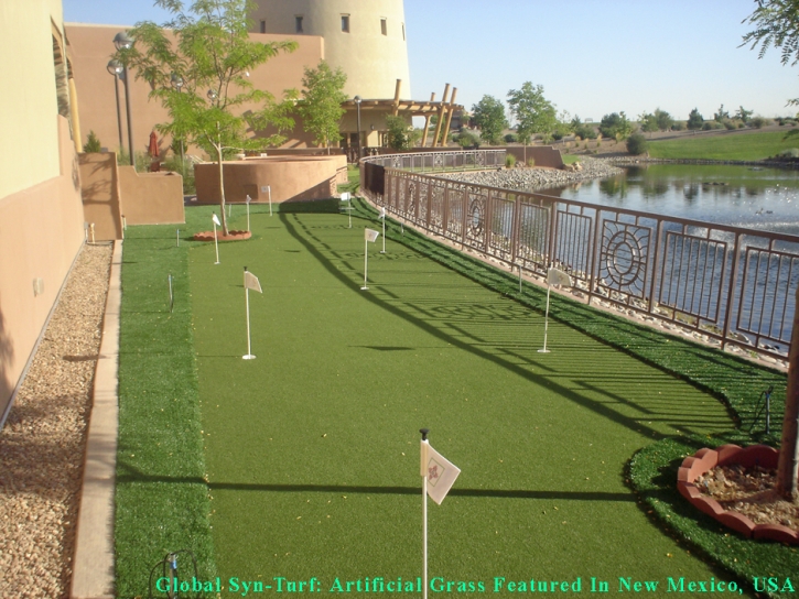 Fake Turf Austin, Texas Rooftop, Backyard Landscape Ideas