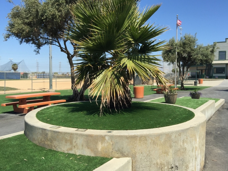 Fake Turf Canyon Lake, Texas, Recreational Areas